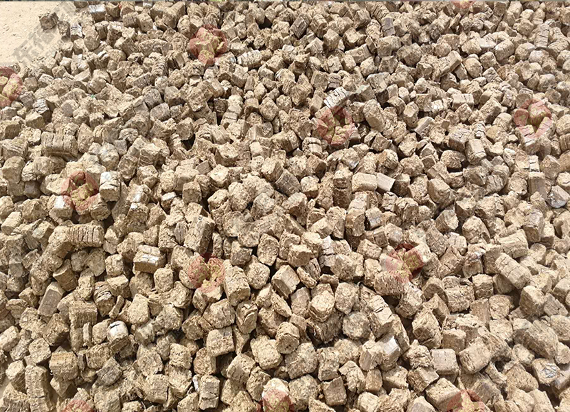 東福龍新聞 東福龍新聞